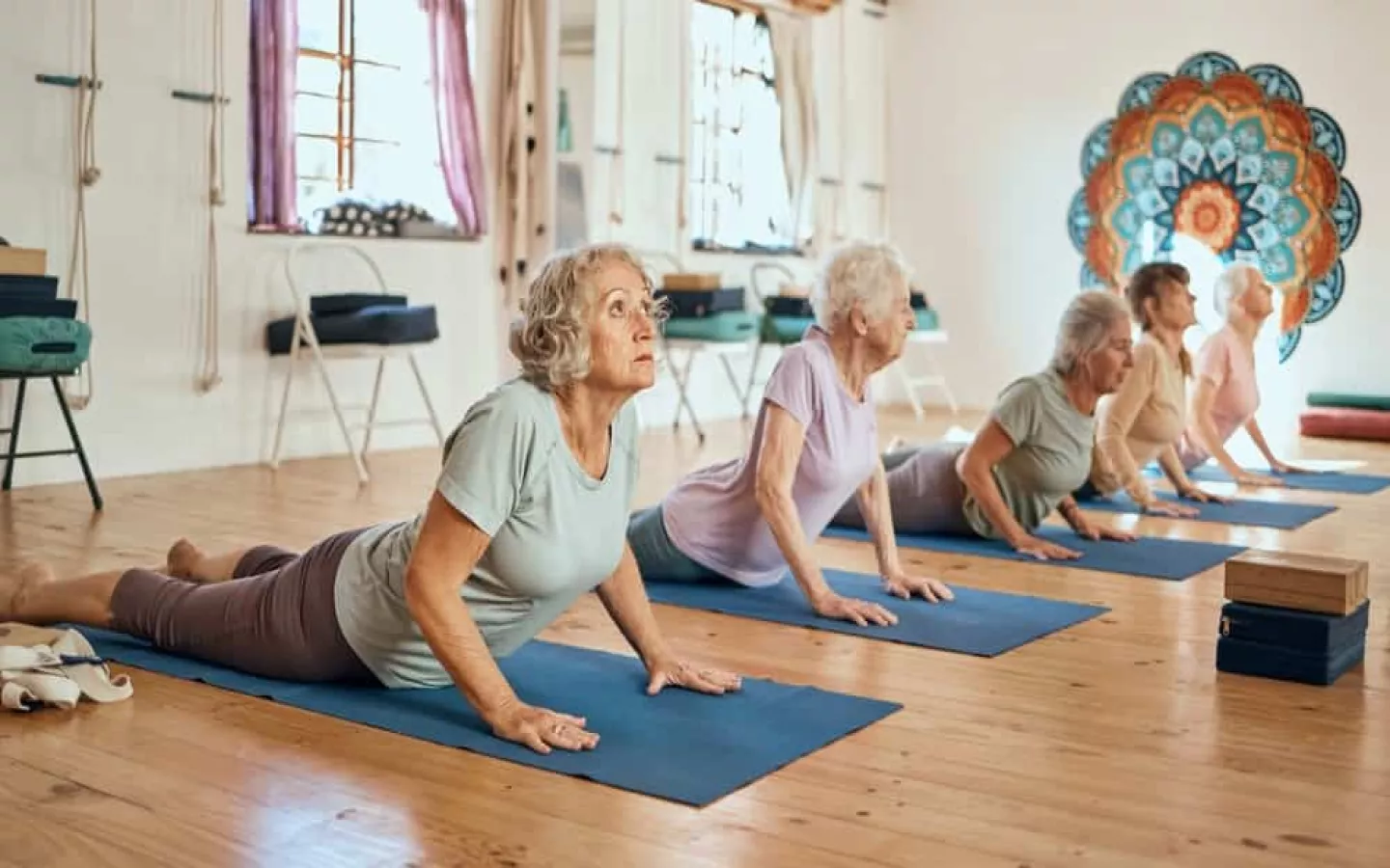 5 femmes âgées font une activité physique