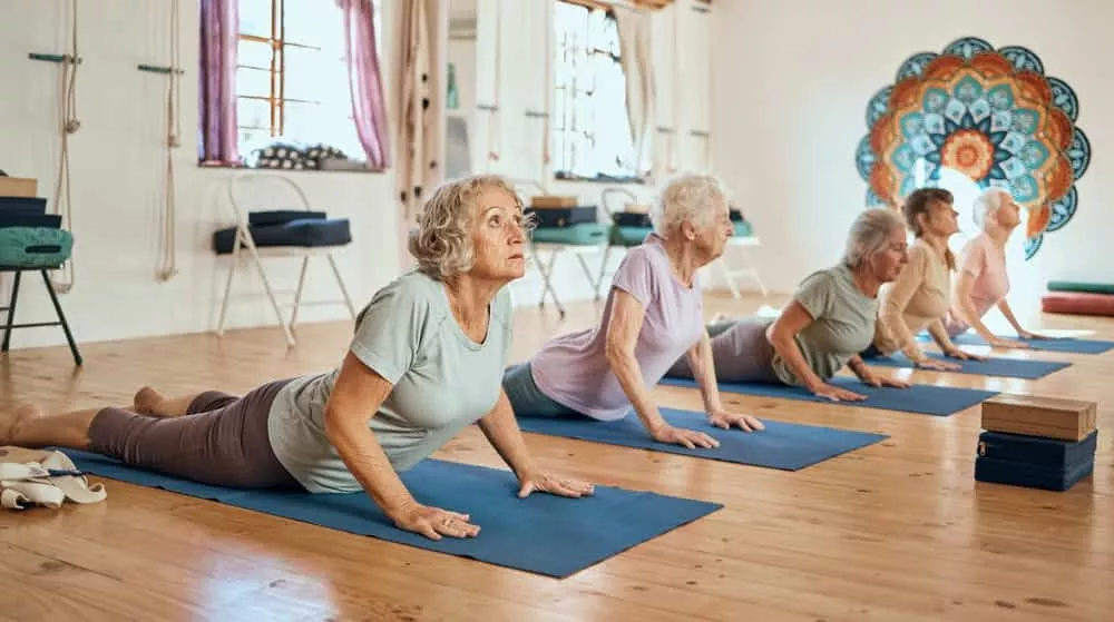 5 femmes âgées font une activité physique