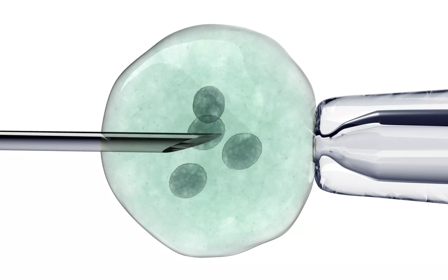 remboursement-fecondation-in-vitro