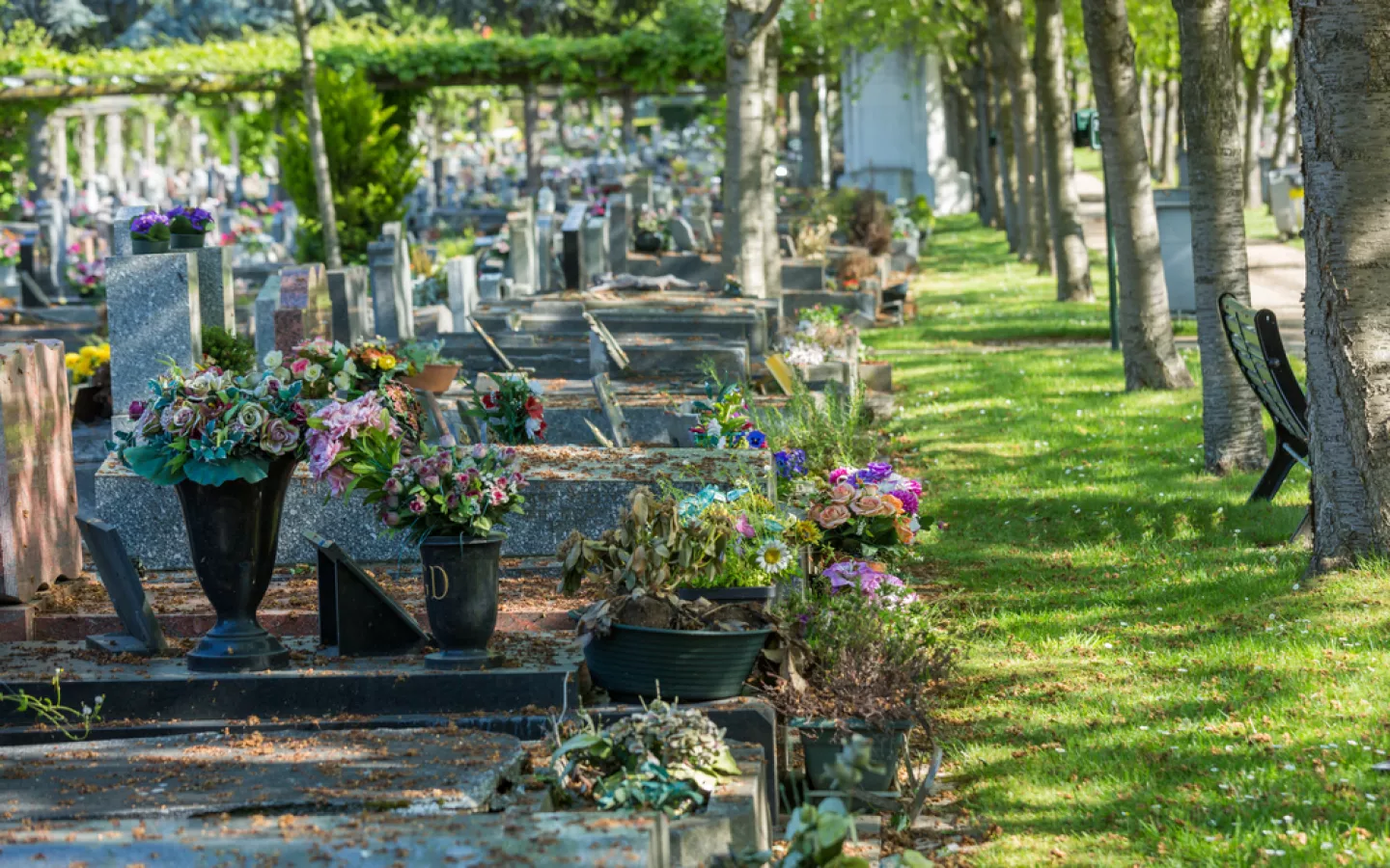 concession cimetière