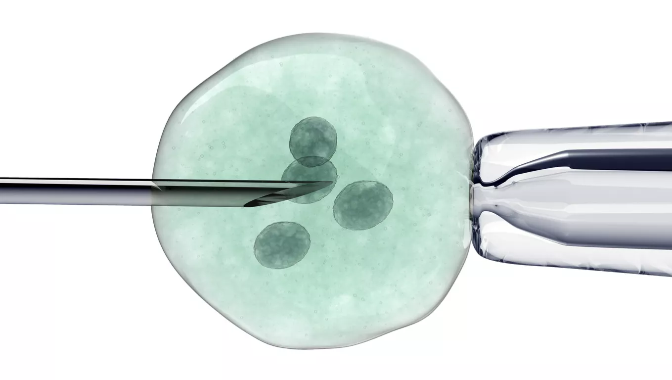 remboursement-fecondation-in-vitro