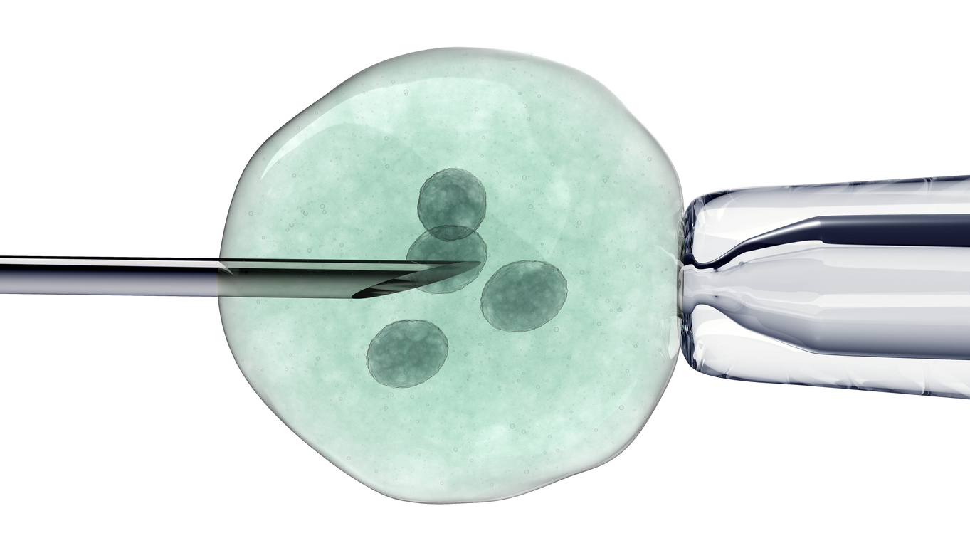 La fécondation in vitro est-elle remboursée ?
